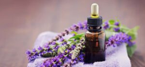 herbal hair oils